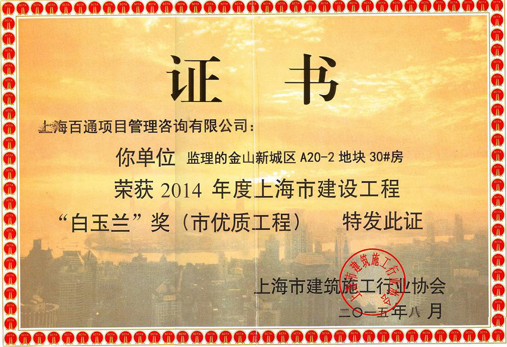 白玉兰奖-金山新城区A20-2地块30#房