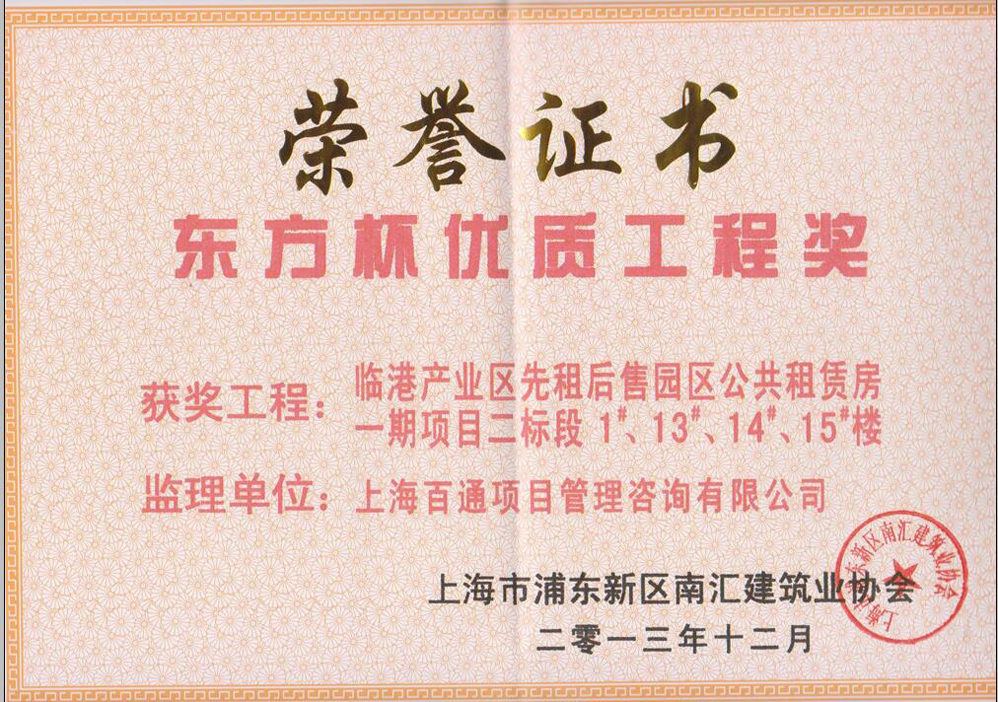 “东方杯”优质工程奖-临港公租房一期