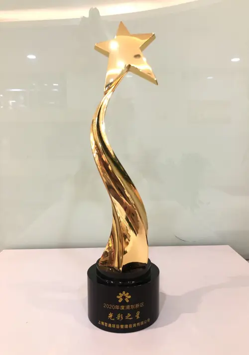 2020年度浦东新区“光彩之星”