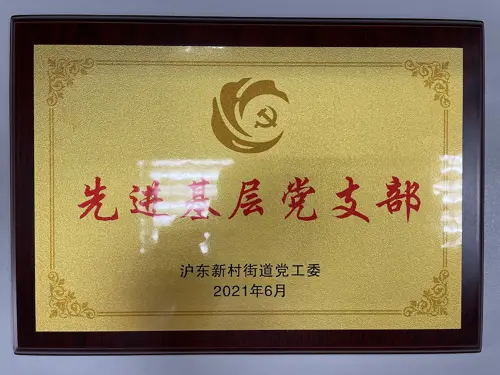 造价党支部获沪东新村街道2021年“先进基层党支部”